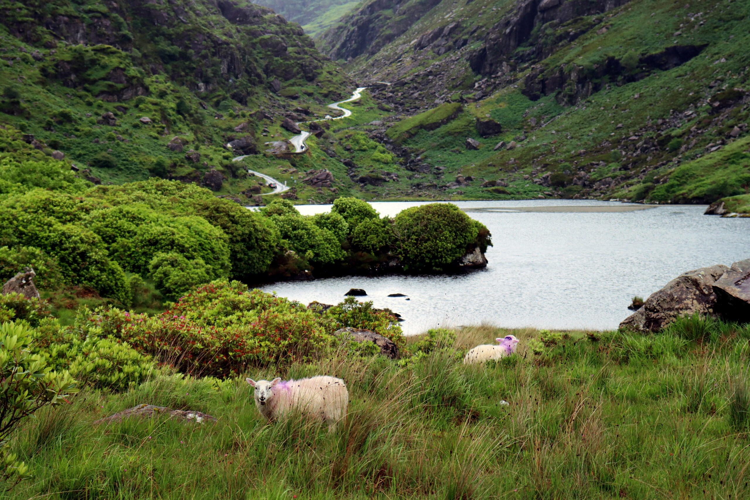 A Rainy Day in the Irish Wilderness: the Gap of Dunloe