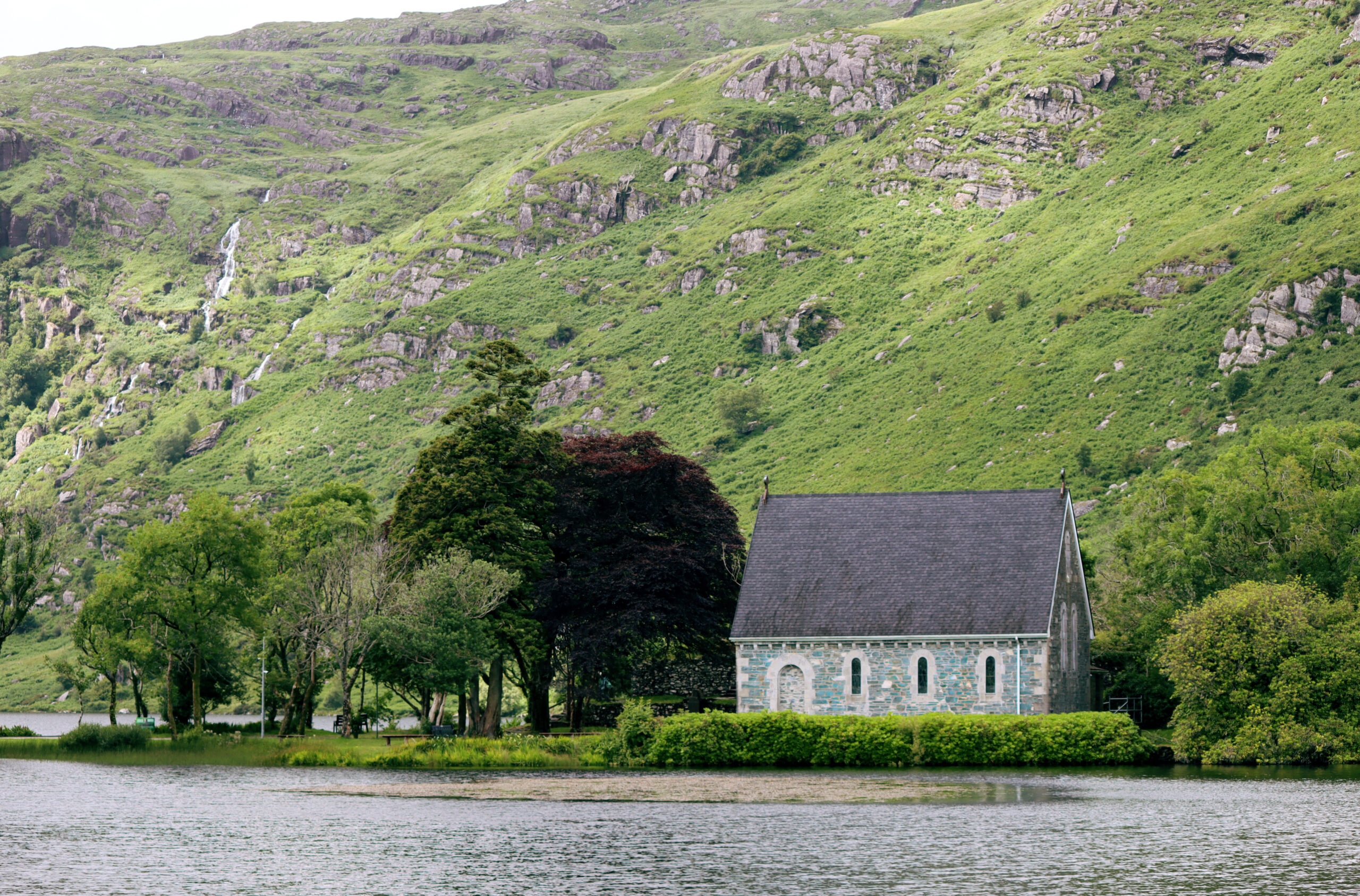 Wandering the Whimsical Woods of Gougane Barra